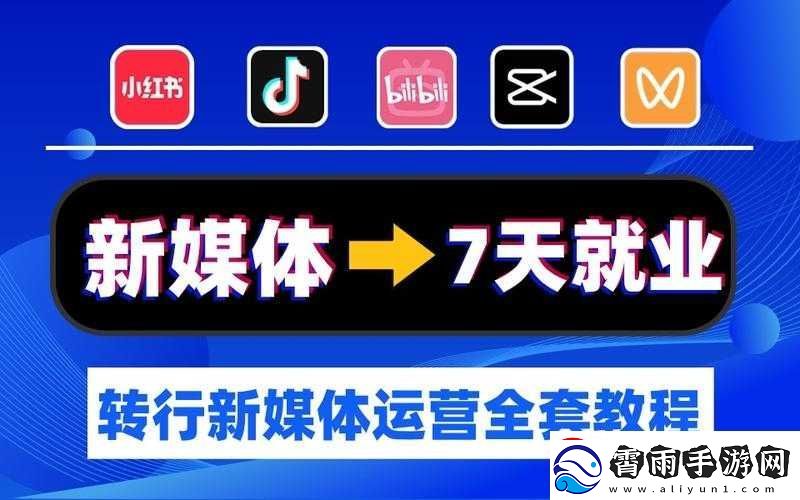 B站大全永不收费-2024-热门视频一网打尽