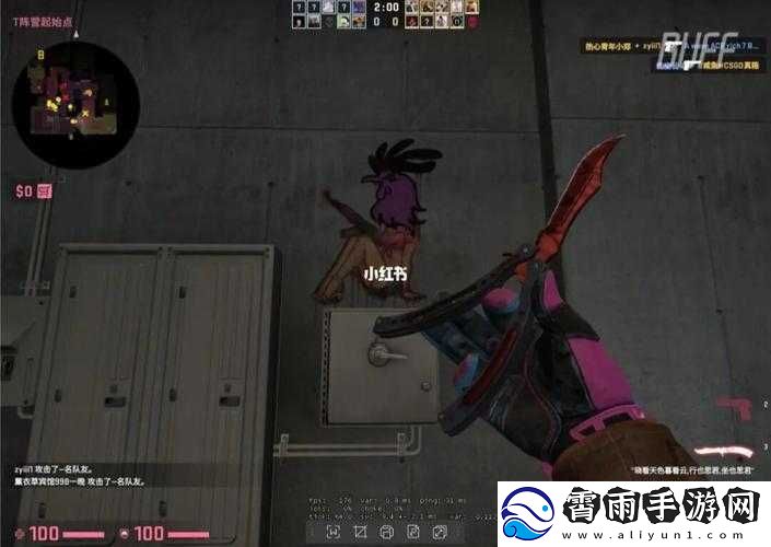 暴躁老阿姨最强武器推荐：揭秘实用之选