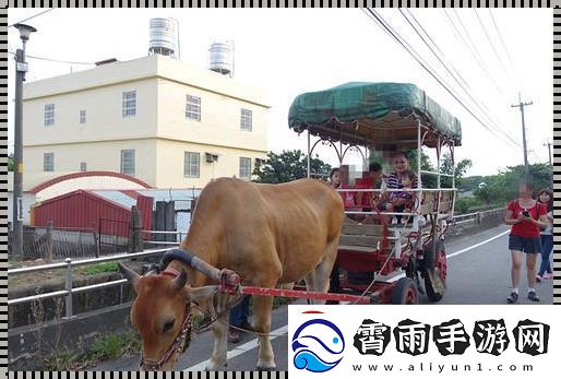"牛车狂想曲：科技版的台湾'疯'情"