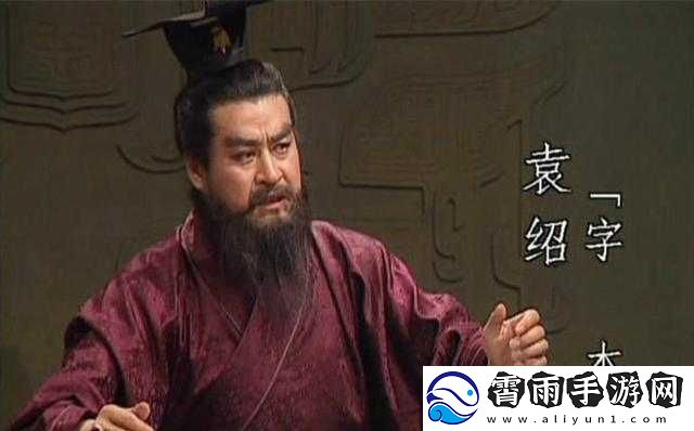 袁绍英雄能力全面解析：优势与特点概览