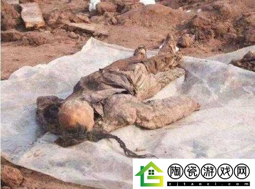 无人区编码-6229：翰林观天下事