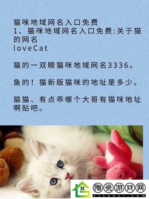 慷慨猫咪-MV-最新地域网名如何取更合适