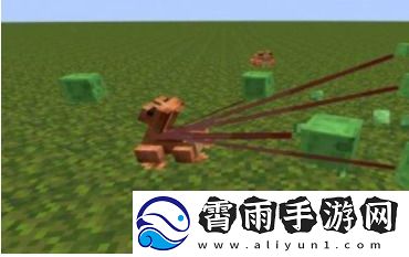 我的世界青蛙有什么用