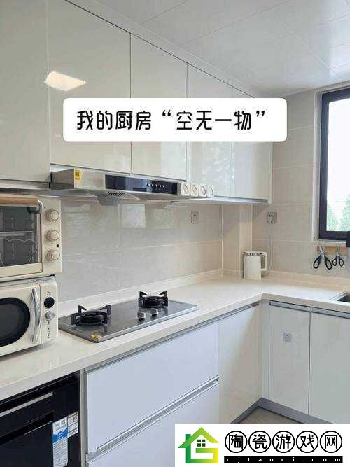 从厨房一路干到客厅好吗：全新家务挑战