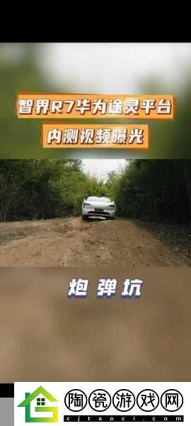 最近国语视频在线观看免费播放内测预热开始