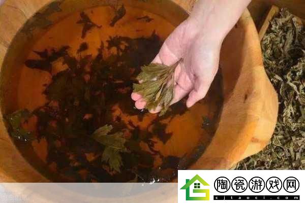 扦插BB有什么好处-扦插BB的好处：轻松繁殖与养护技巧分享