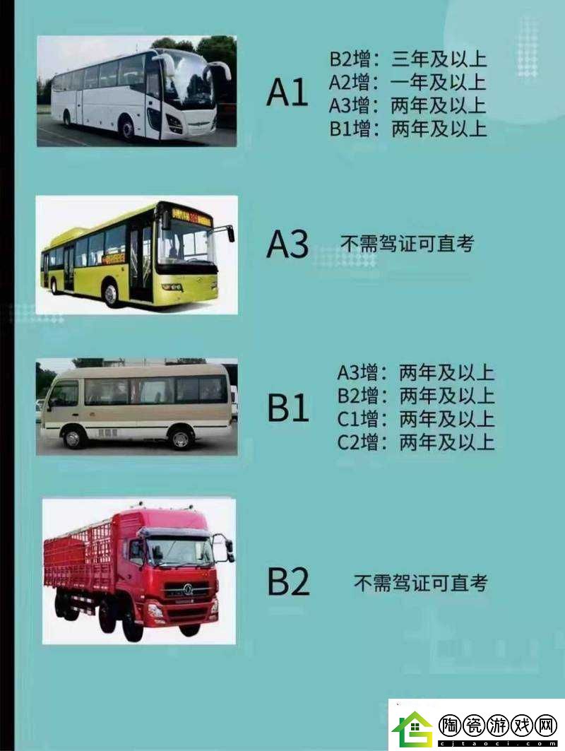 国产-A1a2a317c-的独特魅力与价值